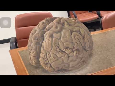 การผลิตสื่อ AR